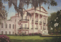 Painting by Johnnie Canova